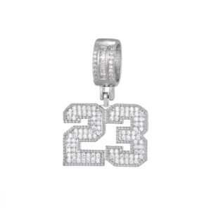 23 Hip Hop Inspired Icedout Pendant